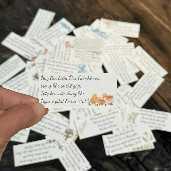 Bộ 60 Thẻ Giấy Học Kinh Thánh 7x3cm