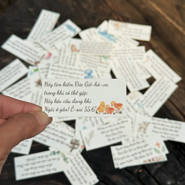 Bộ 60 Thẻ Giấy Học Kinh Thánh 7x3cm